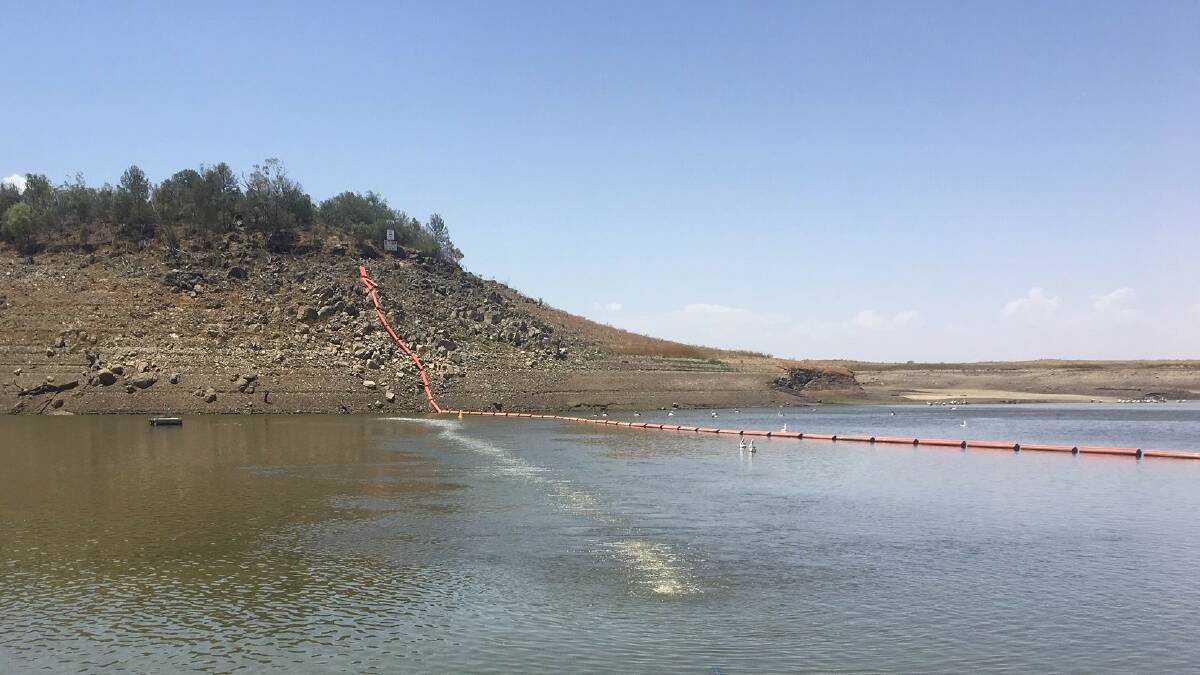 FISH ON THE LINE: It's hoped the aeration line will be a good temporary measure to oxygenate the water for the fish stocks.