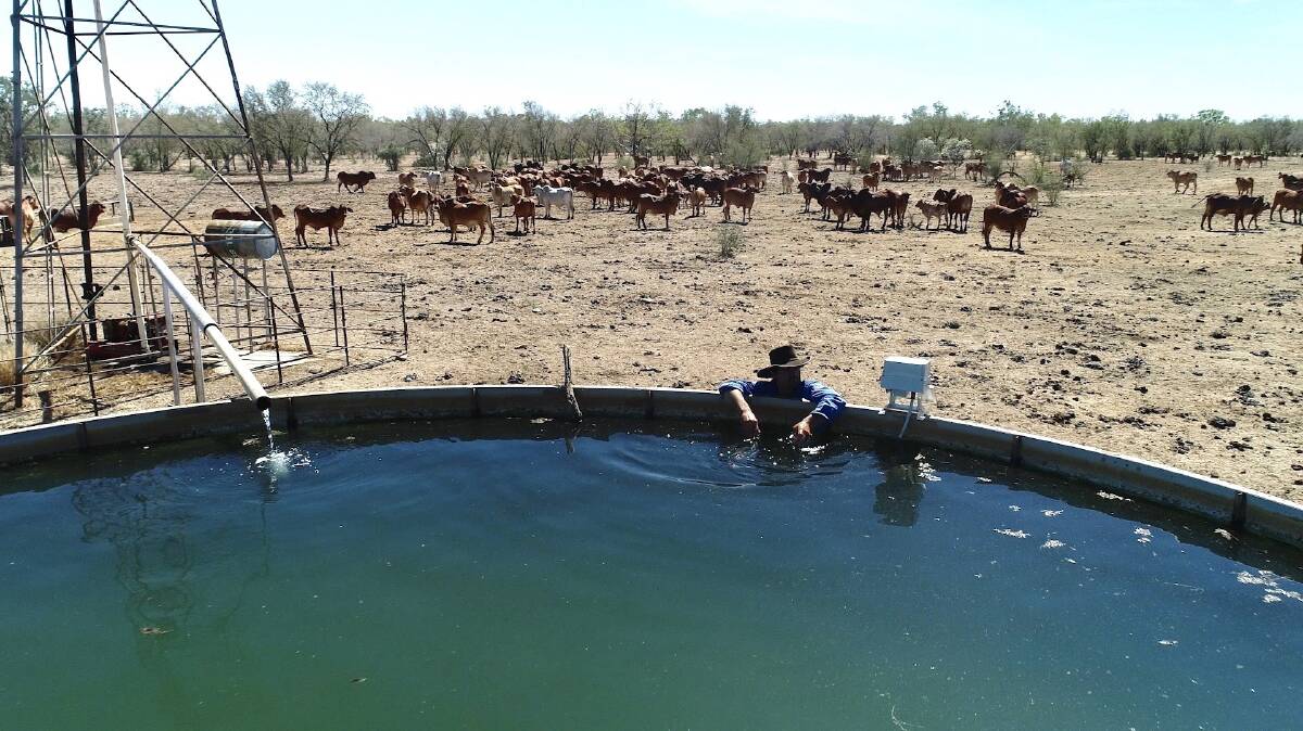 VIRTUAL CHECK: With a reported 400,000-plus water tanks on Australian farms, farmers spend many hours a week driving to and from them to ensure there are no leaks and enough water for livestock.