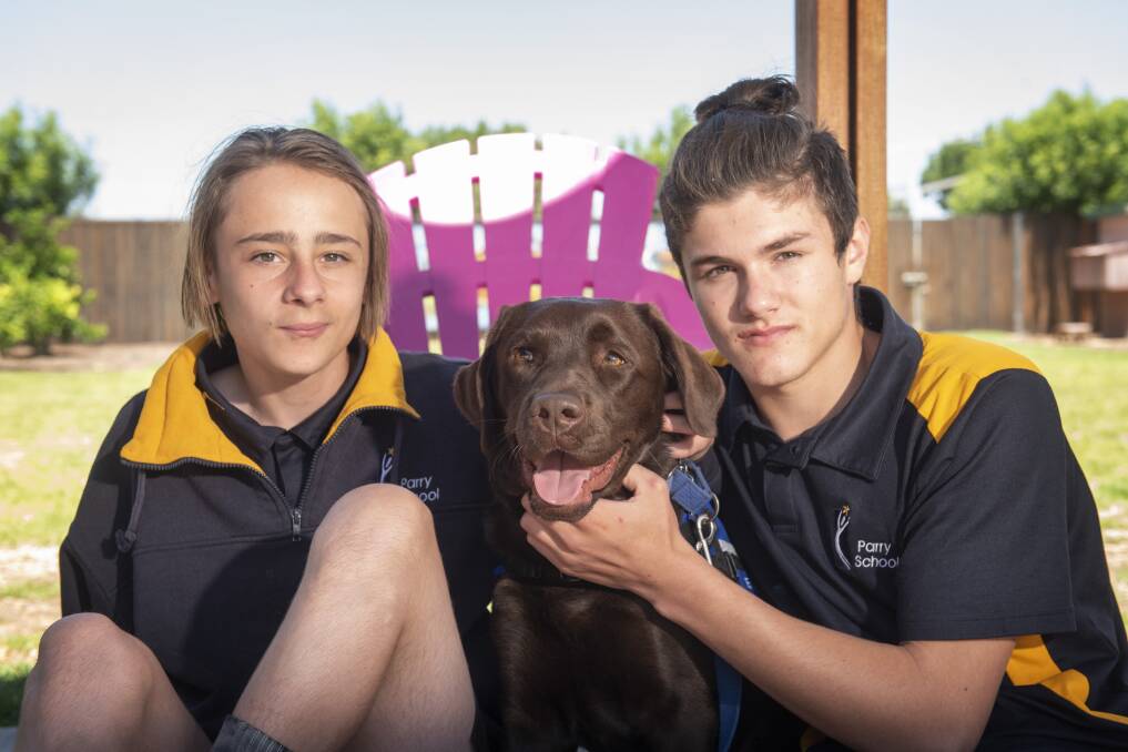 Teens' best friend: Parry School students Dre Curry and Jayden McKay with Lexi. Photo: Peter Hardin 061119PHC090