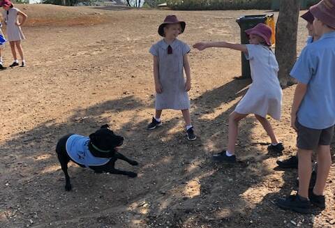 Quirindi Primary School students have a ball with Malo. 