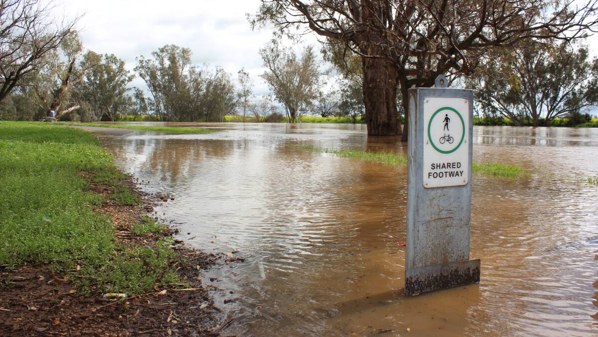 A flooded cycle path impacted from a swollen Namoi River which burst its banks late last week.