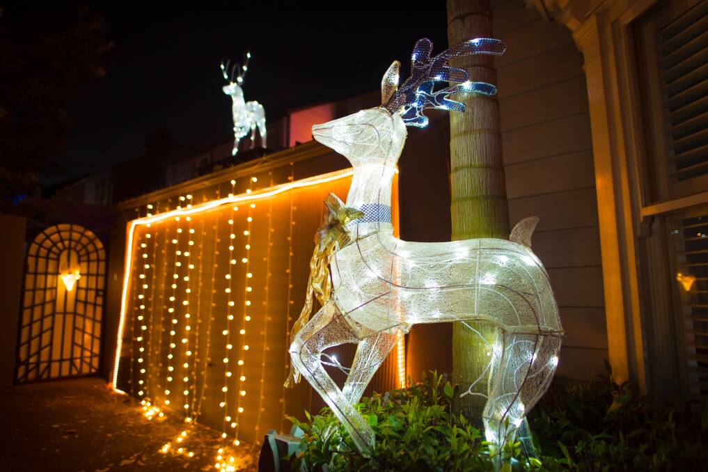 RUDOLPH: Everything from nativity scenes, neon Christmas trees and simple flashing lights vie for attention on suburban lawns.