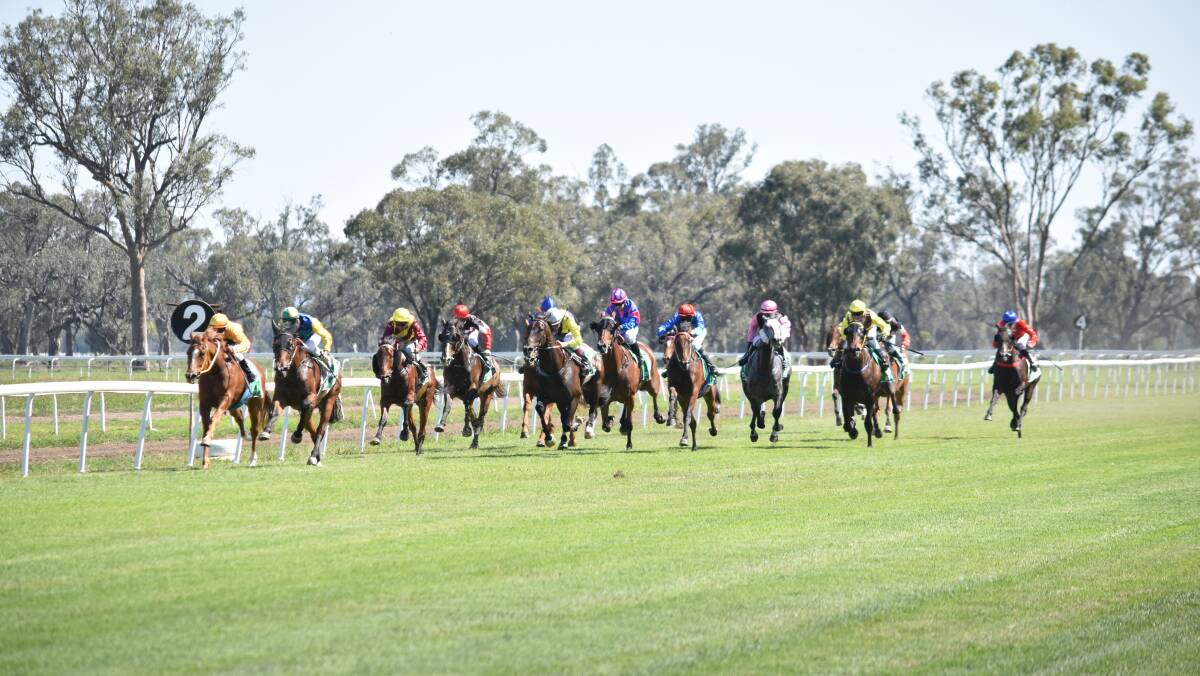Racing is back at the Gunnedah track this week. Photo: File