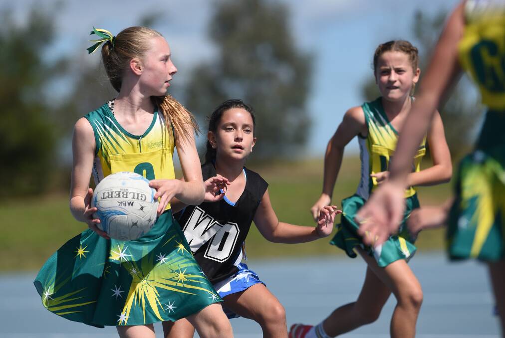 REDUCED: Netball will be one of five sports played at this year's National Primary Games.
