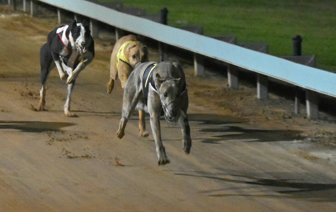 TOO STRONG: Blame Lenny storms home in the Ladbrokes Monthly Medal heats a fortnight ago.
