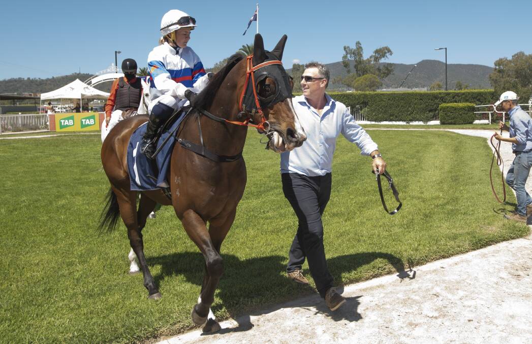 ON THE ROAD: Gavin Groth, pictured at Tamworth, will take three horses to Quirindi. Photo: Peter Hardin
