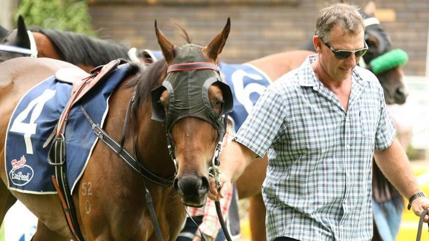 DUEL NOMS: Gunnedah trainer Gavin Groth, pictured here with Red Hot Dane, has nominated Leica Boot for two races at Tamworth on Friday.