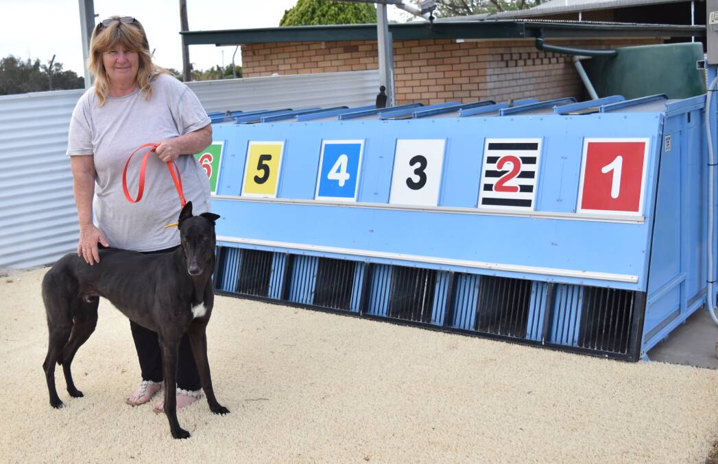HIGH NUMBERS: Owner-trainer Cherie Rosier with Dynamic Impact who has been nominated  for race seven on Sunday. Photo: Ben Jaffrey