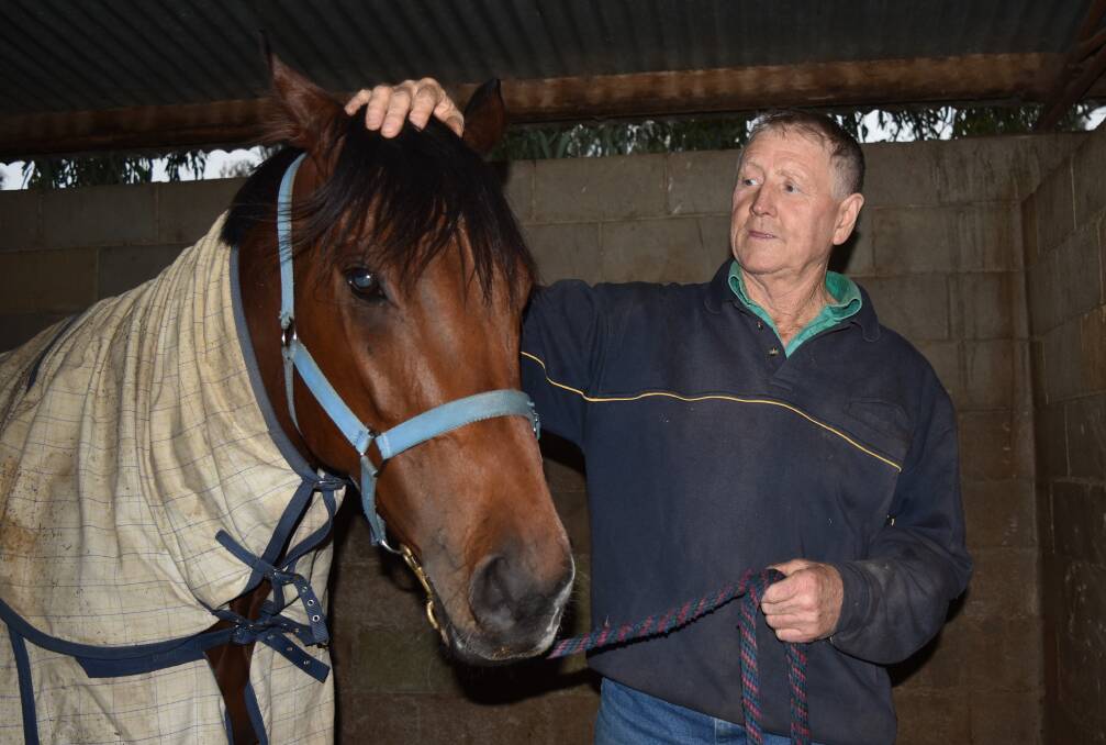 PRODUCING: Alex Martyn welcomed Luceo Non Uro to his stable a couple months ago. Photo: Ben Jaffrey