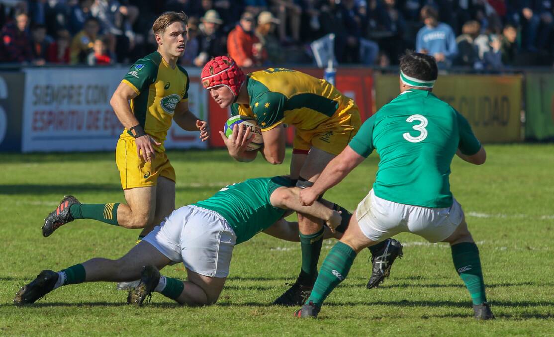 NO PRETENDER: Harry Wilson in action in the Junior Wallabies' 45-17 defeat of Ireland at the under-20 world championships.