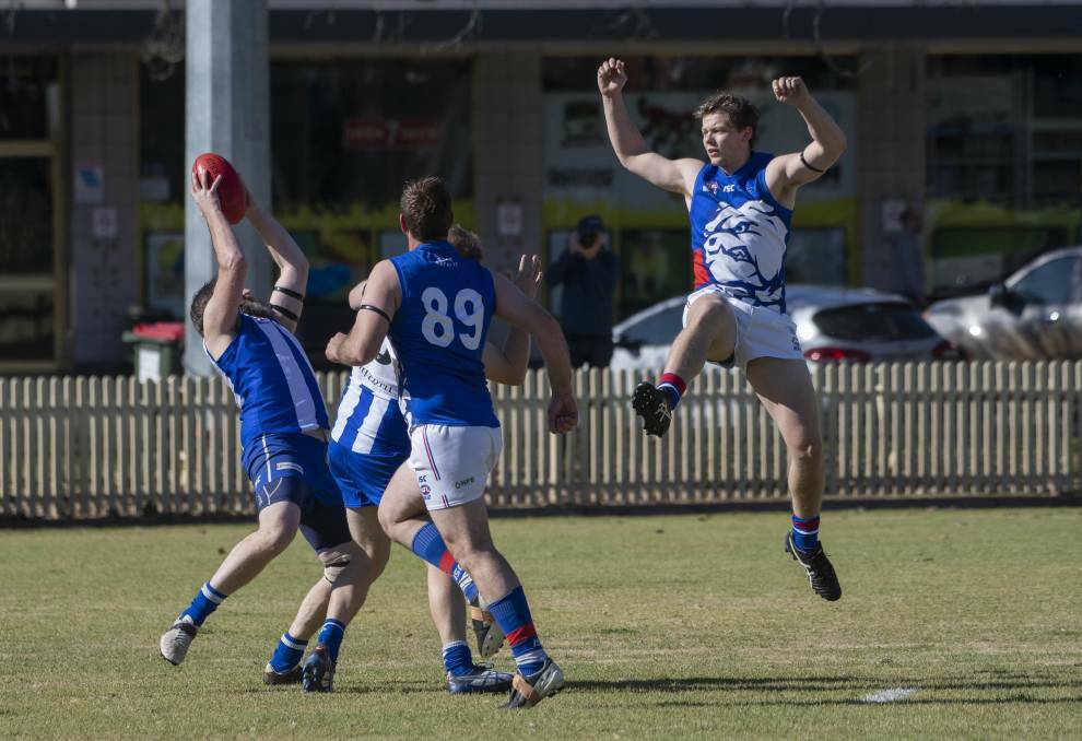 LIFE BLUEPRINT: Bulldogs defender Tom Maher has a solid plan for his future. Long may he soar. Photo: Peter Hardin 