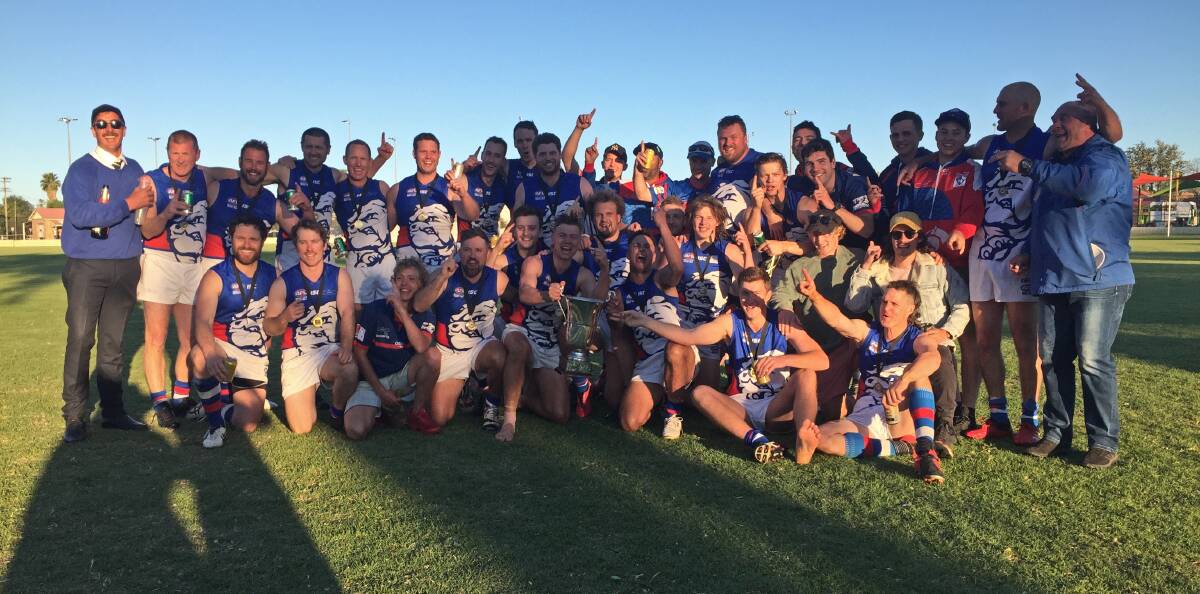 BACK-TO-BACK: The Bulldogs celebrate another premiership.