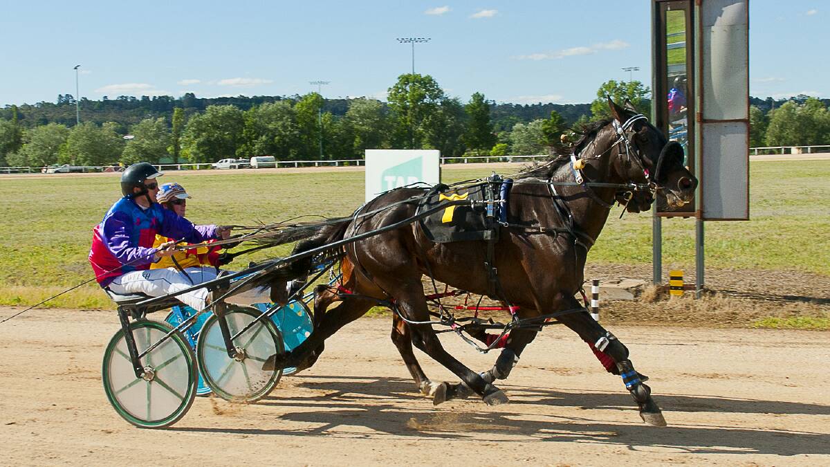 LETHAL COMBO: Commanche, with Scotty-Jon Welsh in the gig, wins at Armidale. Photo: PeterMac Photogrpahy.