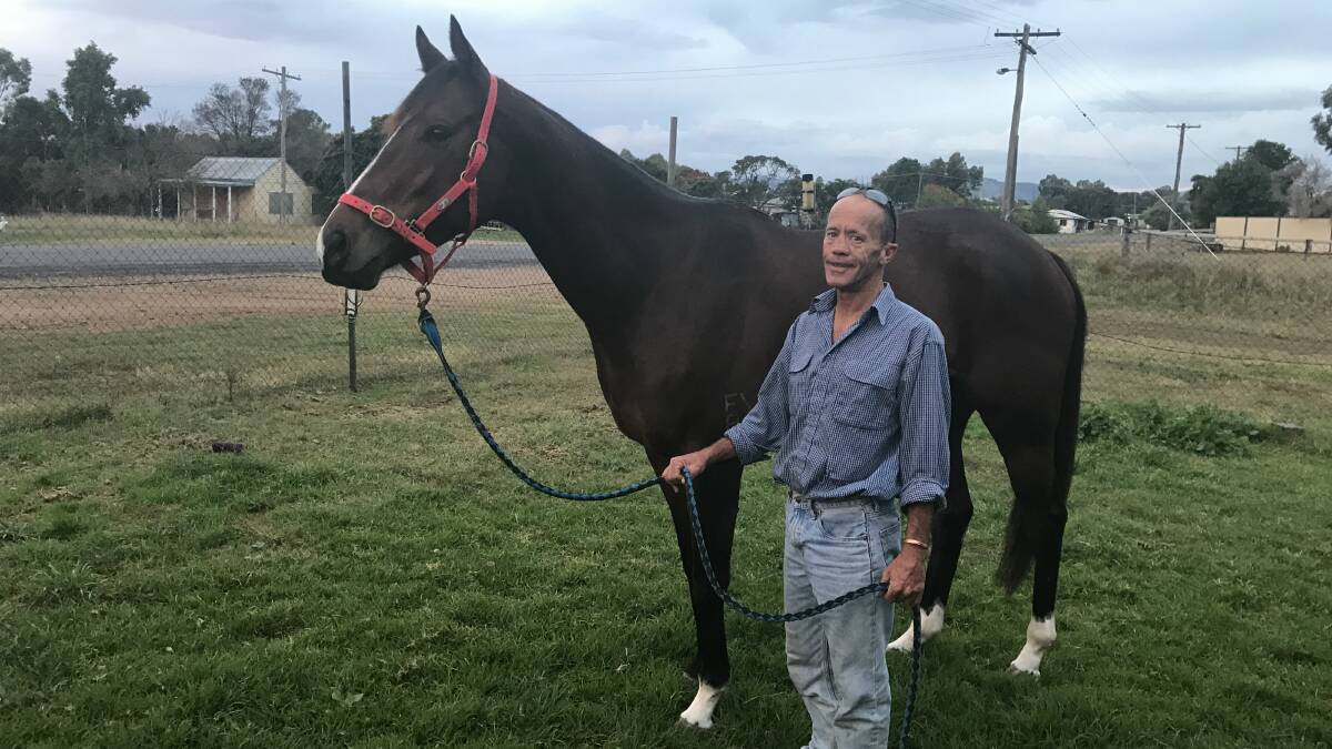 MENTORED: Scott Thompson is preparing Valatia for Sunday's Gunnedah Gold Cup with the help of his father, Bill “Bot” Thompson.