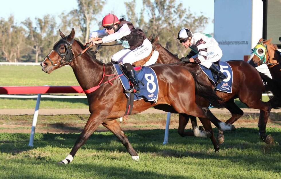 FAMILIAR TURF: Pippi's Pride, seen here winning the 2015 Gunnedah Cup with Leanne Henry on board, has been nominated for Monday's AgQuip Cup. 
