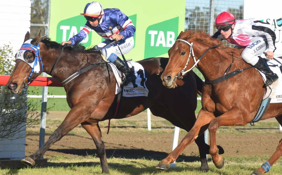 DEADLY DUO: The Gavin Groth-trained About Time has won a second Narrabri Cup, after having a much-needed spell.