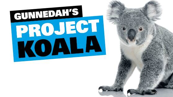 Not so simple: Project Koala's Facebook page shows a koala eating dirt.