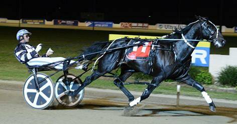 Coming home with the goods: Tiger Tara, driven by Todd McCarthy, crosses the line for a win in the big $500,000 Group 1 Inter Dominion Final for 2018.