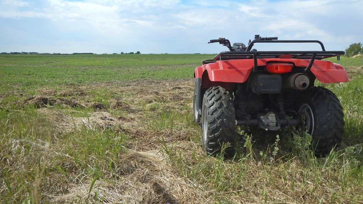 Round table on quad bike accidents