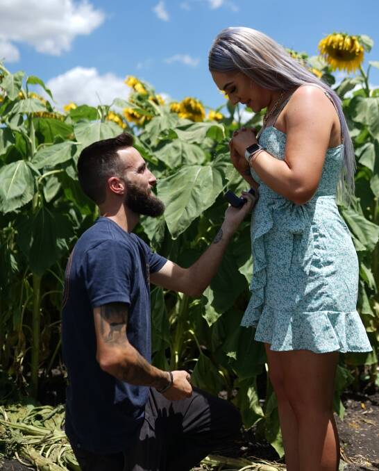 HAPPY DAY: Kyle Brennan proposed to partner Lauren Francis in the sunflower field in Quirindi. Photo: Supplied