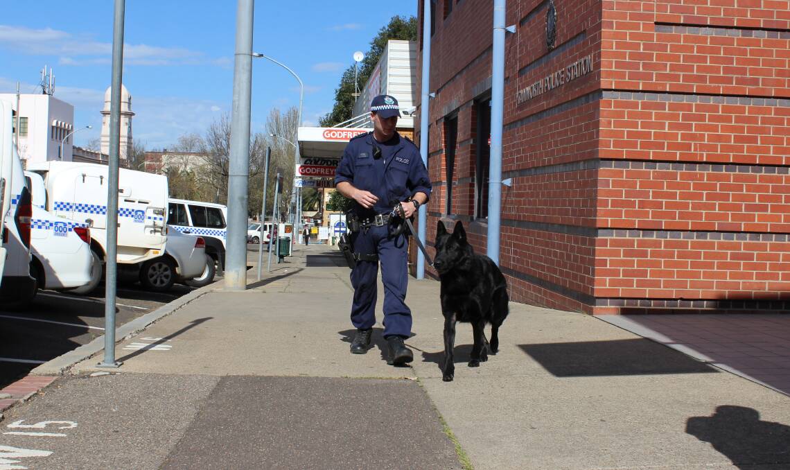 PAWS ON THE BEAT: A police dog and handler are destined to join the Oxley Police District ranks. Photo: Supplied, file