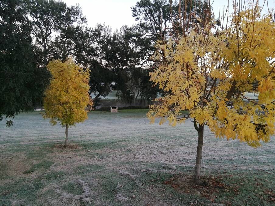 FIRST FROST: Bendemeer was icy cold during a record-breaking morning in April. Photos: Dave Farrenden