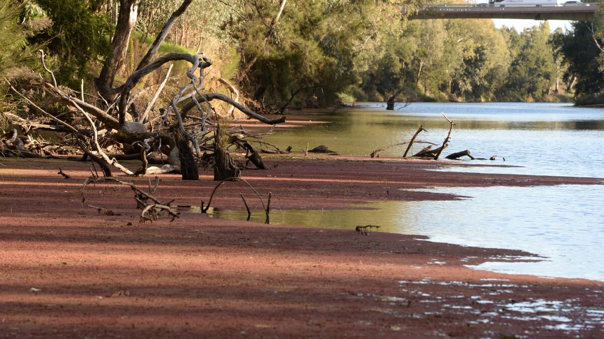 The Macquarie River is now at stage four critical drought level.