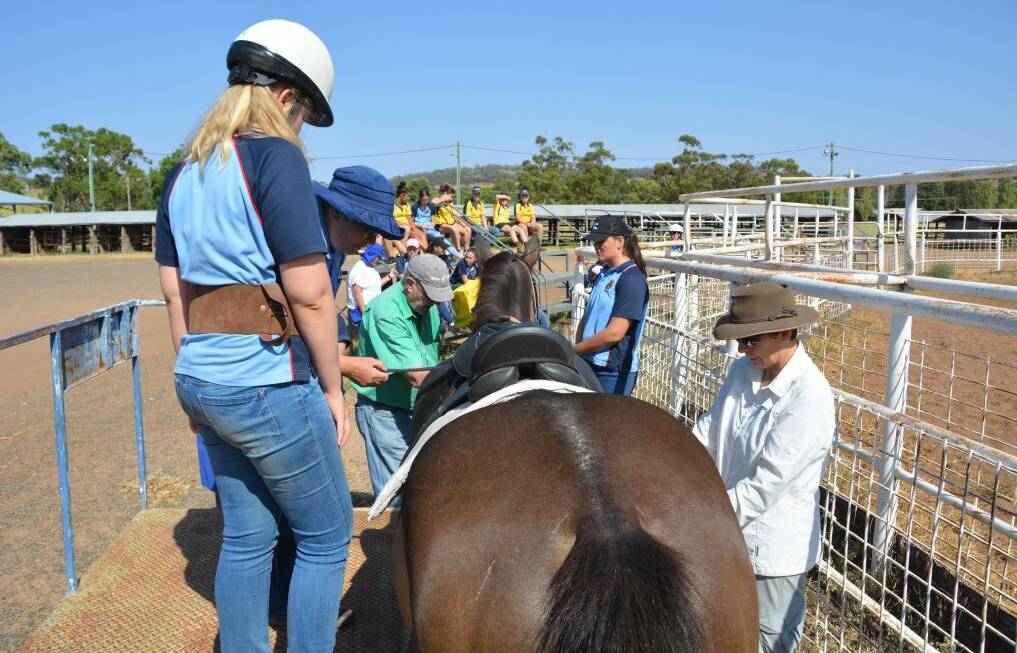 BACK ON SADDLE: Councillor Gae Swain said Gunnedah RDA is a fantastic organisation as council voted to renew financial support for the not-for-profit for 2021. Photo: Jessica Worboys/File