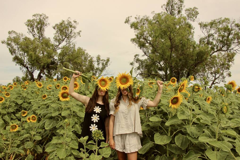VISUAL DISPLAY: Windy Station in Pine Ridge will open its sunflower field, and state heritage listed woolshed, to the public this January. Photo: Just Because Moment