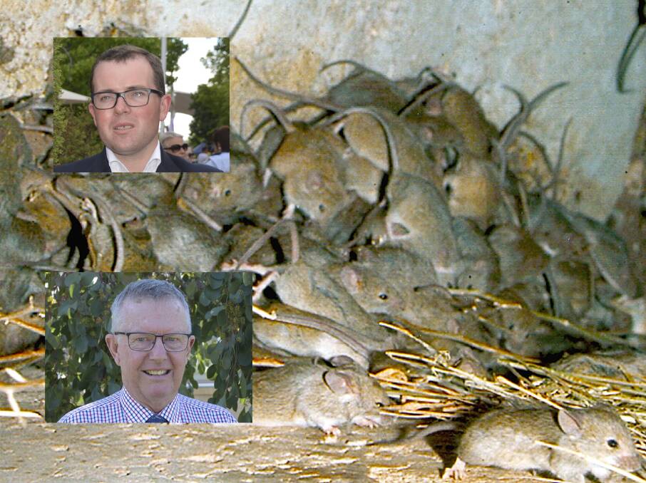 HITTING BACK: Adam Marshall and Mark Coulton have said the Nationals at both state and federal level are working on the mice plague problem. 