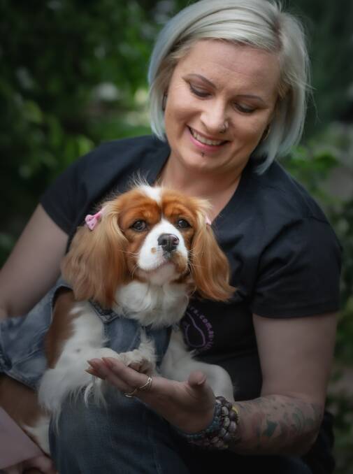 Canberra dog breeder Paula Brooks and her pregnant cavalier bitch Maya Miami. Picture: Karleen Minney