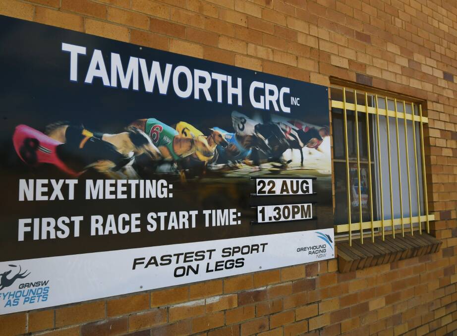 INCIDENT: A greyhound was euthanised after it sustained a major injury at the Tamworth race track. Photo: Gareth Gardner 240820GGD03