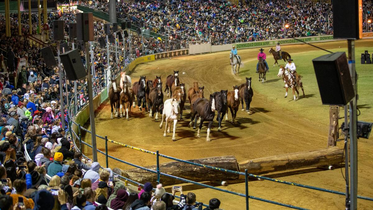 NIGHT OF FUN: Tamworth's own horse experts will be part of The Night of the Horse at AELEC. Photo: Richard Smith