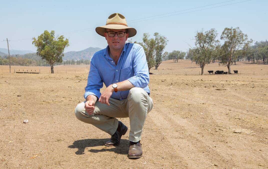 'LUNACY': Minister for Agriculture Adam Marshall has hit out at comments from PETA. Photo: Simon Scott, file.