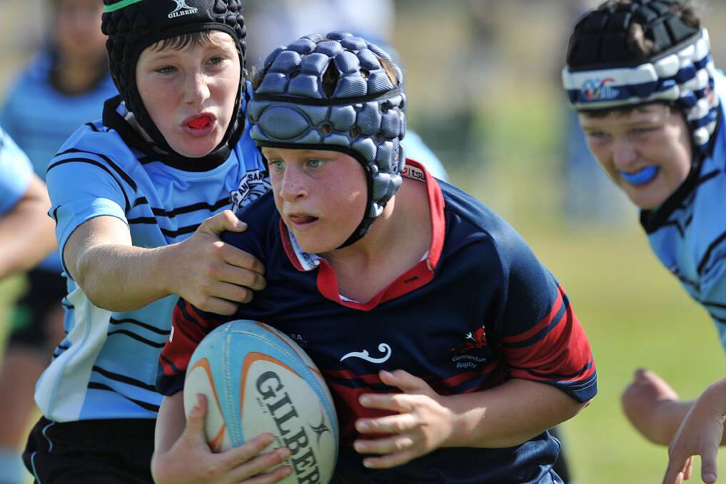 On the charge: Jim Brady takes on the defence for the Gunnedah U12s during Sunday's Gunnedah Junior Rugby Carnival. Photo: Paul Mathews