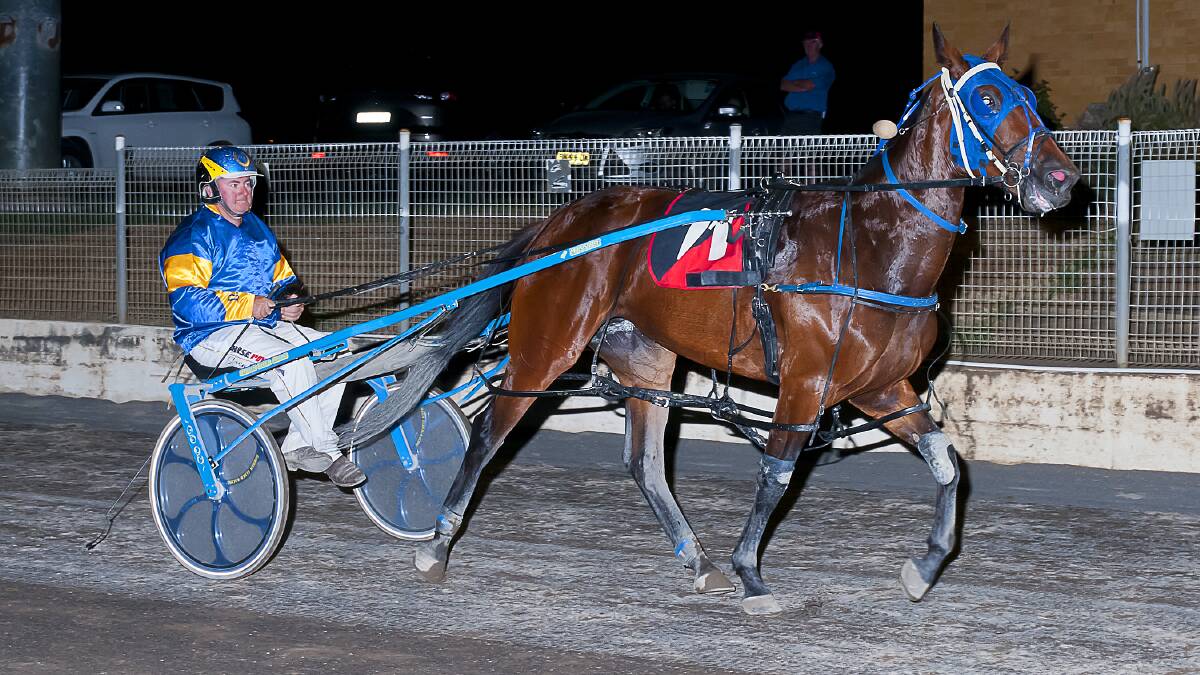 All Smiles: Darren Elder drove Sevens Dollar to her first career win at Tamworth on Wednesday night. Photo: PeterMac Photography