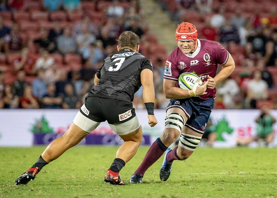 Call-up: Harry Wilson's outstanding form for the Queensland Reds hasn't gone unnoticed by Wallabies coach Dave Rennie naming the former Gunnedah junior in his first squad. Photo: QRU Media