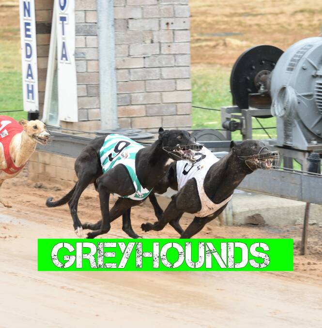 Friday's meeting has drawn good nominations and some top dogs.