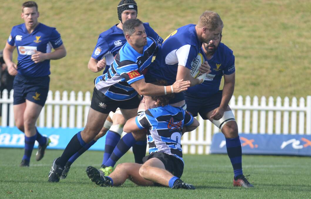 Former Robb and Gunnedah backrower Will Archer was immense for the victorious Central West men's side on the weekend. 