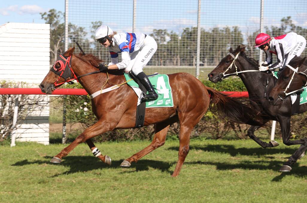 Home track success: Locally trained Bring The Joy saluted in Saturday's transferred Taree meeting. Photo: Bradley Photographers
