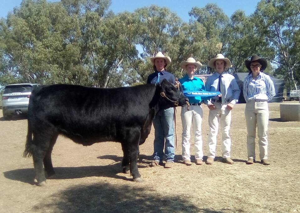 CHAMPION: St Mary's College students Harry Mason, Saige Mitchell, Bradley Miller and Charlotte Foody with the winning steer. Photo: supplied.