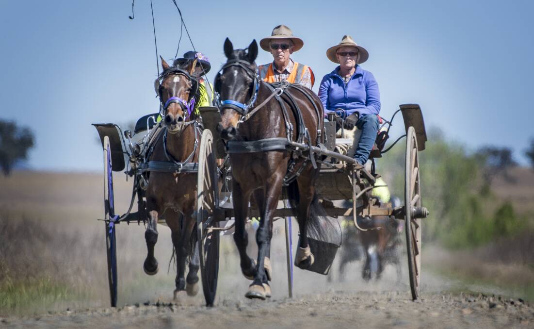 NORTH WEST TRADITION: The 2017 Liverpool Range Harness Club charity drive in full swing. Photo: Peter Hardin
