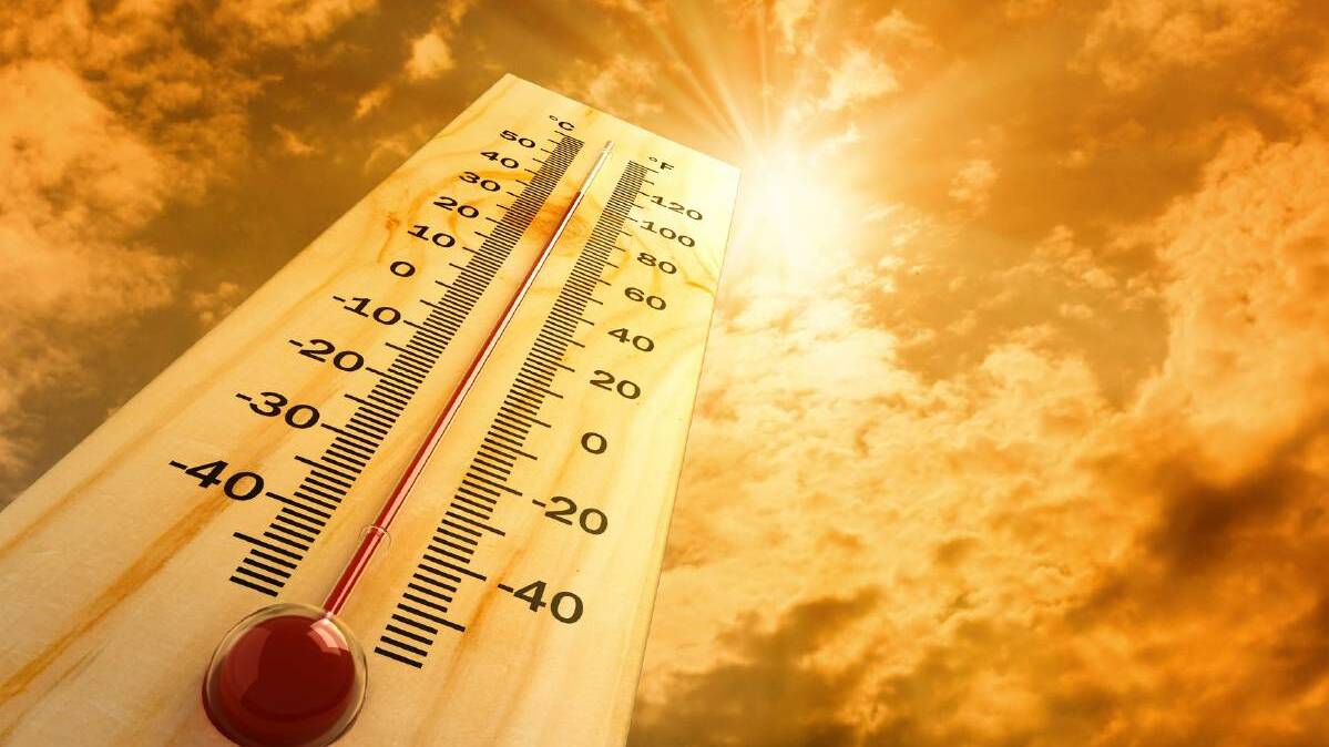 2019 was the country's hottest on record according to the Bureau of Metereology. Photo: file