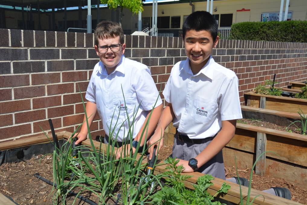 WINNING: Carinya Christian School year 7 students Mitchell Slee and Wesley Law (or team 'Eco Deco') were winners in the Amazing Enviro Race 2020. Photo: Jessica Worboys