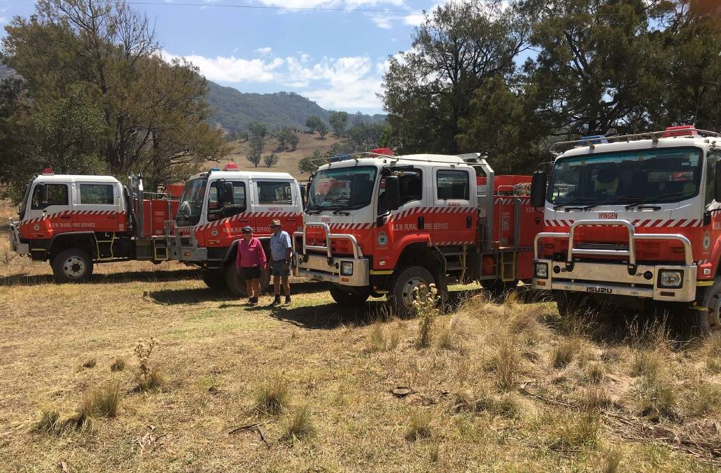 Many brigades came together to assist the cattle.