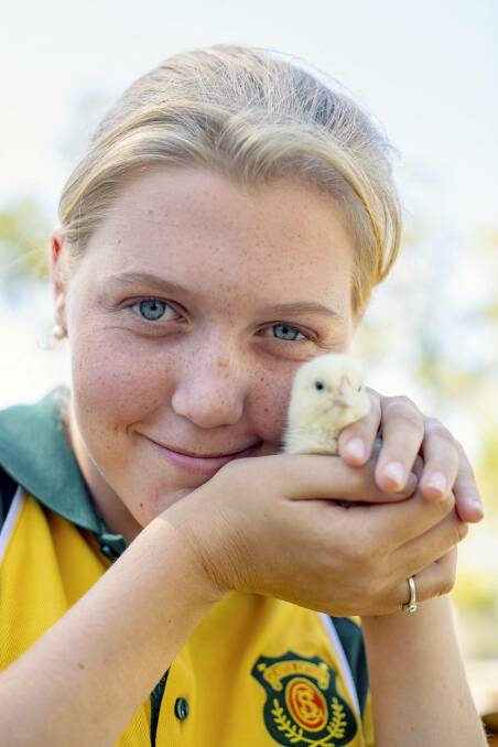 Agriculture student Maddi Norman with one of the chicks. Photo: Alyssa Barwick.
