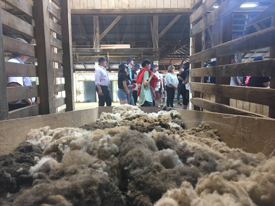 Visitors to the Liverpool Plains shire learn about shearing and the wool industry at Windy Station.