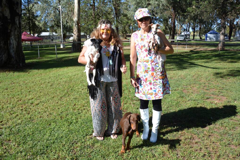 FLOWER POWER: Sharon Norman (left) and Sharon Squires (right) dressed up in their hippy gear with Rocky the fox terrier, Sonny the dobermann and Honey the Italian greyhound, who will all be on show this weekend. Photo: Jessica Worboys.