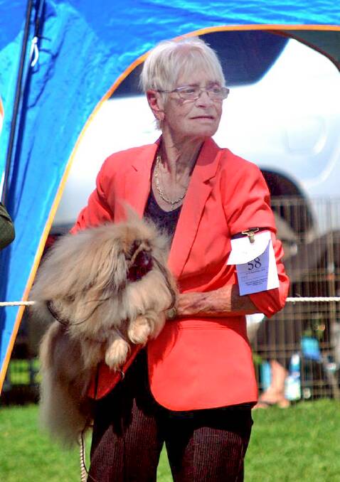 Lyn Crow was an exhibitor and breeder for about 40 years. Photo: supplied.