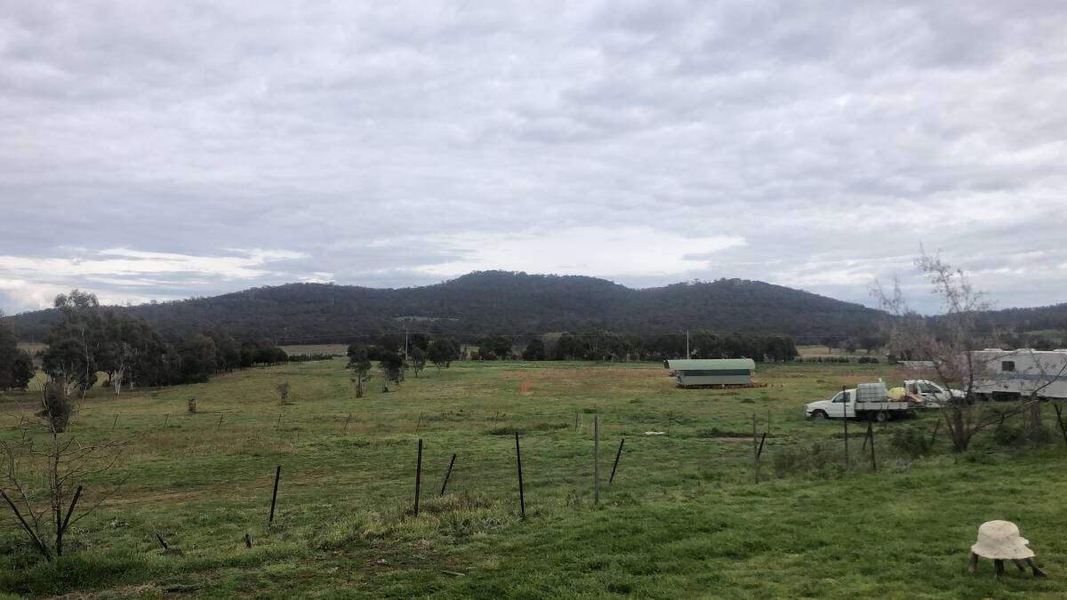 The Majura Valley is home to viticulture, truffle farming, egg farming and livestock PHOTO: Tom Melville